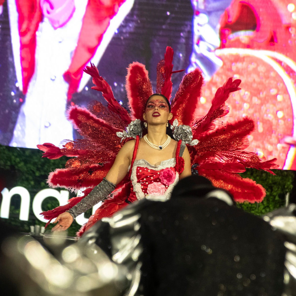 Cada marcha vai receber 11 mil euros