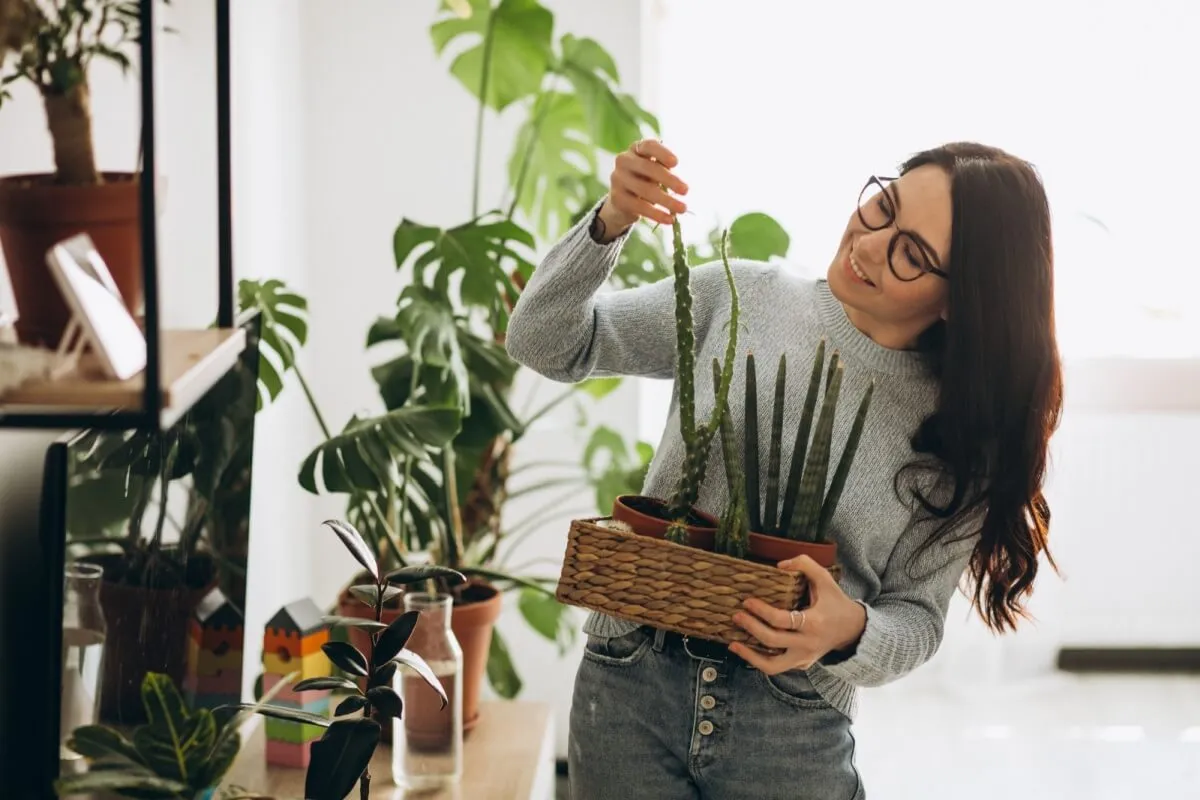 Cuidados com plantas no outono: 5 dicas que fazem a diferença