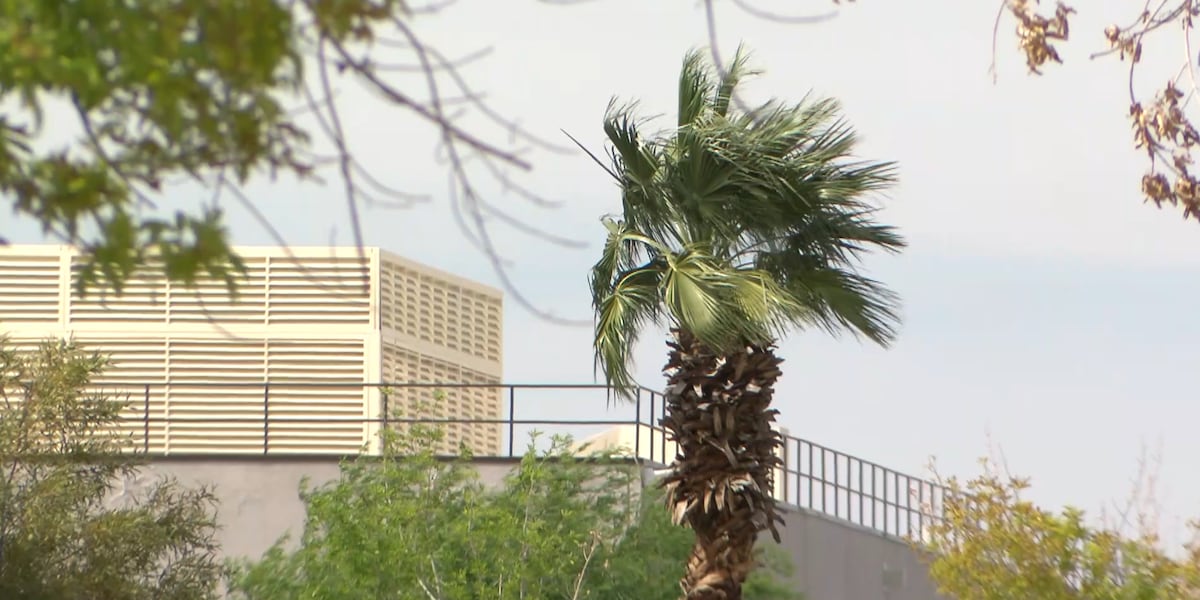 Dust advisory issued for Clark County as strong winds move in