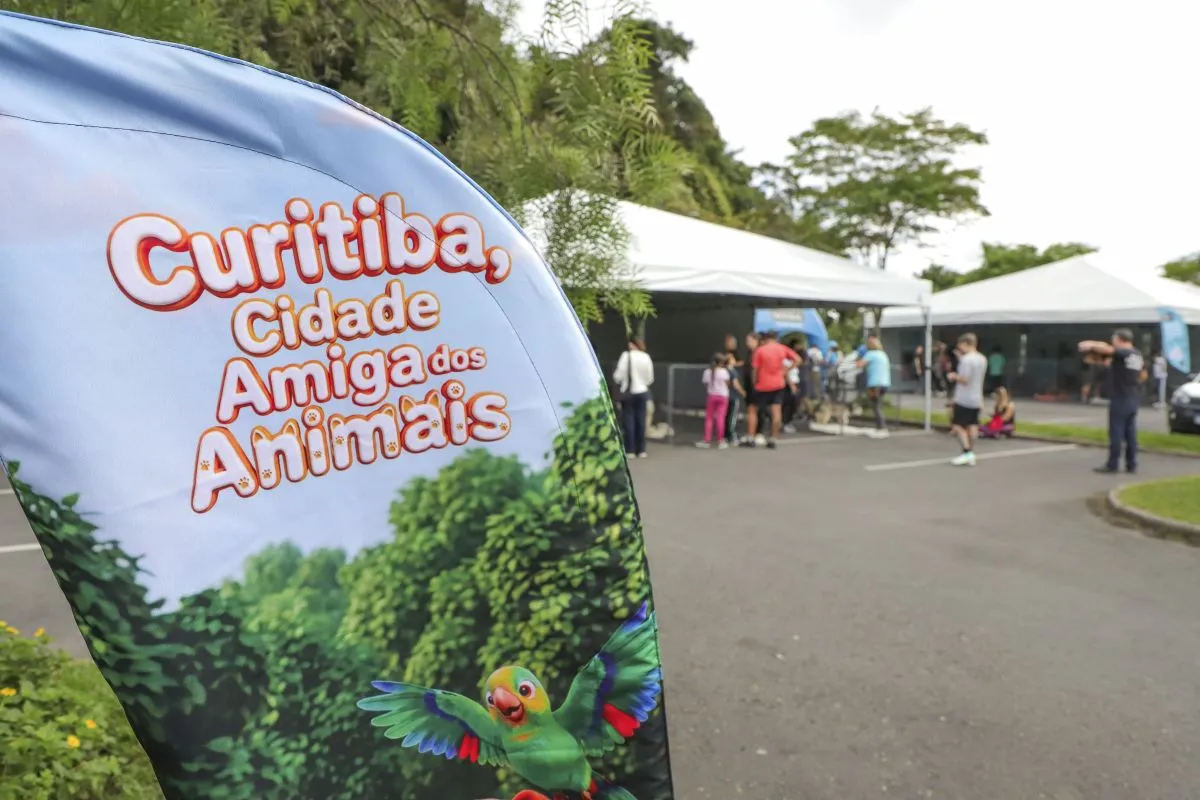 Lei passa a obrigar que todos os cães usem guia em Curitiba