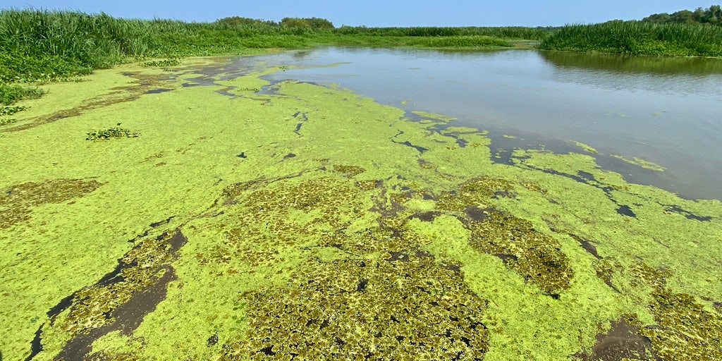 Louisiana rattled by four earthquakes with magnitudes up to 4.0