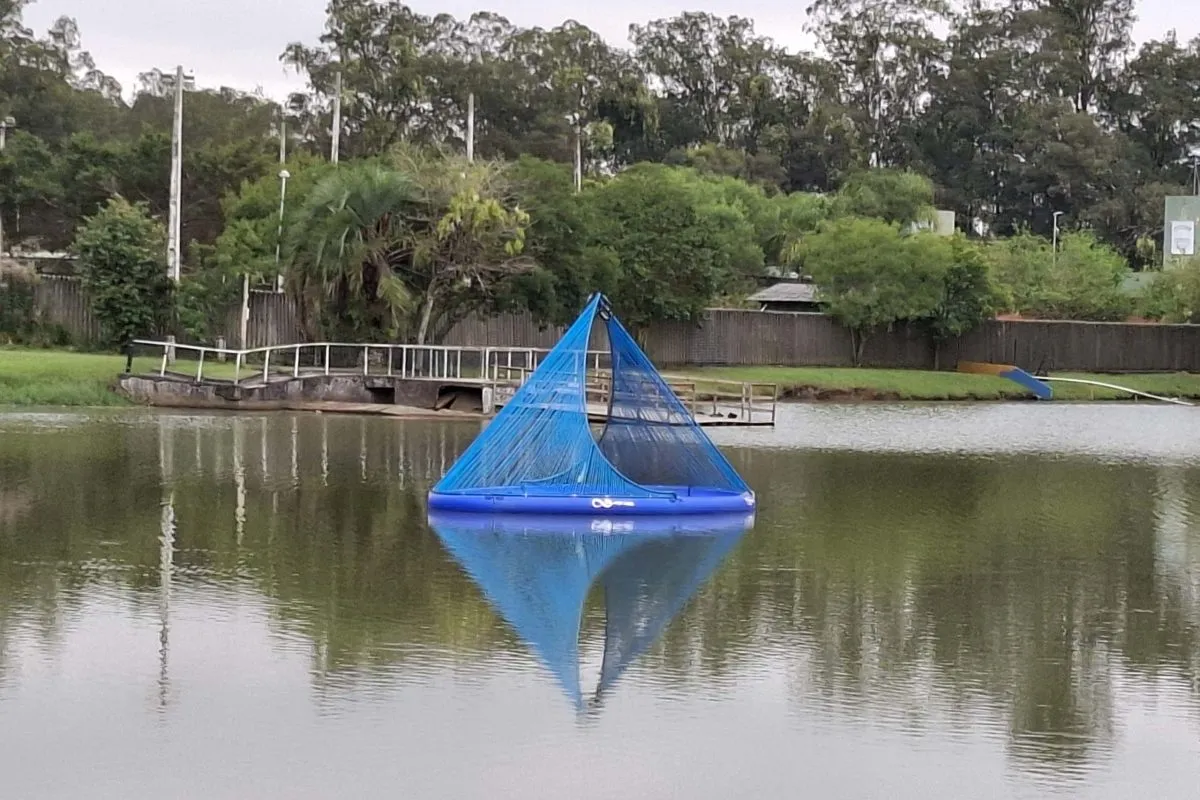 Microrganismos podem ser solução para qualidade da água