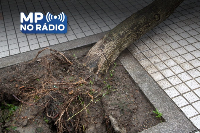 Os crimes ambientais urbanos mais comuns cometidos tanto por empresas quanto por pessoas físicas são o tema do programa