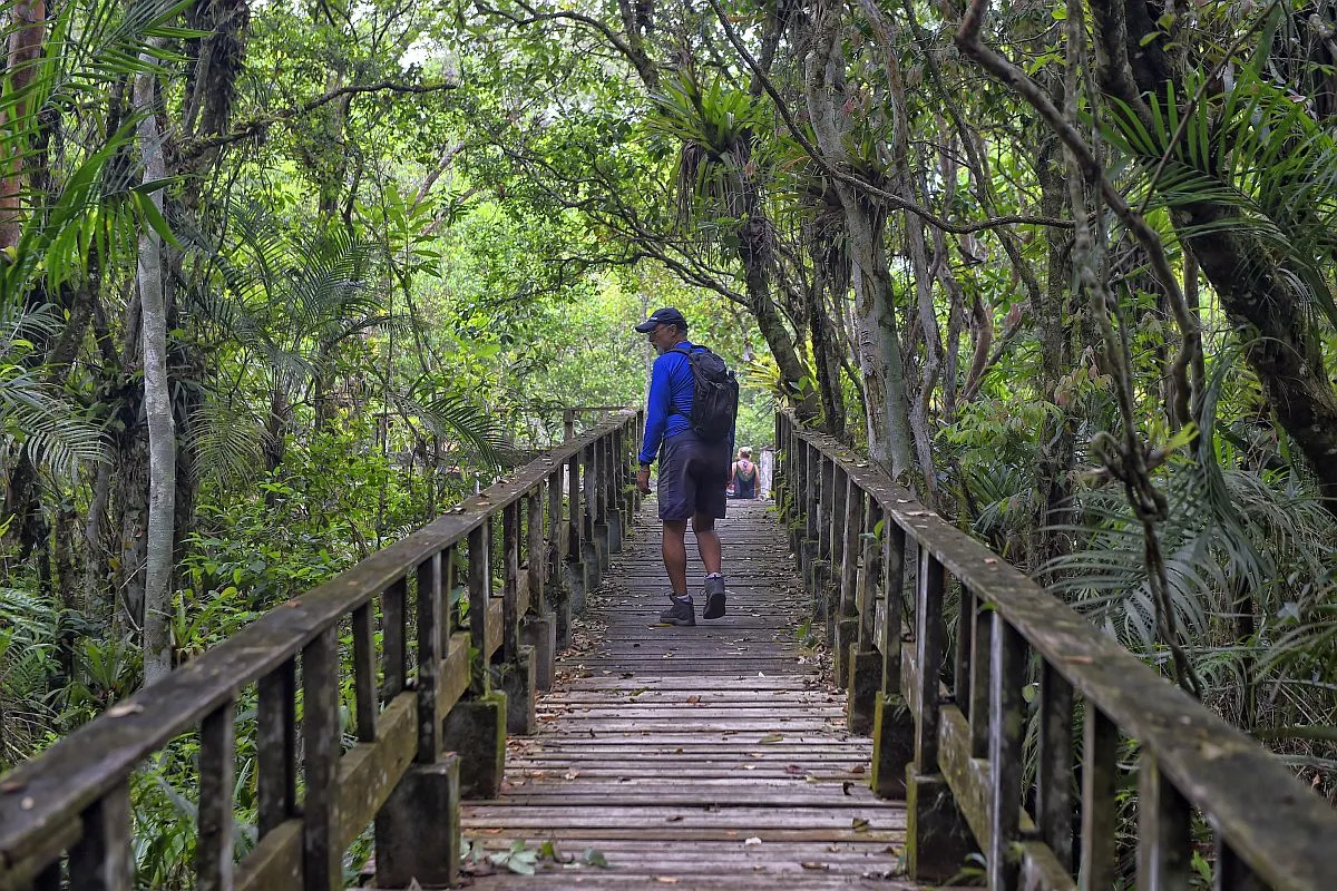 Parque Rio da Onça é refúgio da Mata Atlântica entre praias do Paraná