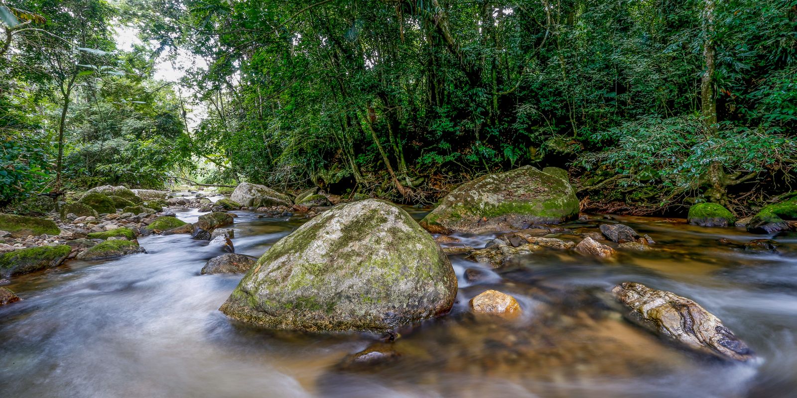 Plano busca fortalecer Sistema Nacional do Meio Ambiente até 2036