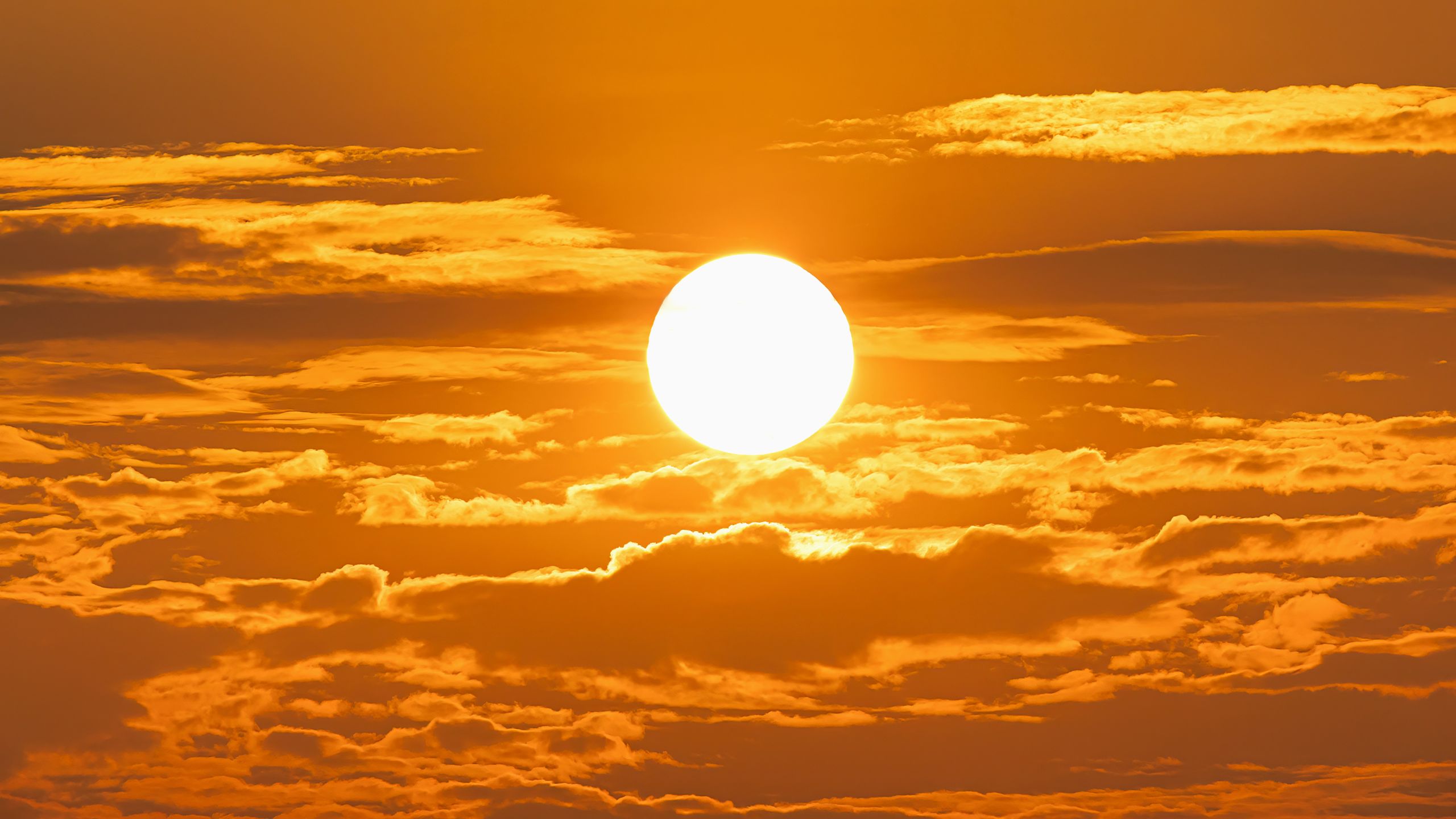 ‘Super El Niño’ could push global temperatures to unprecedented highs, forecasters say