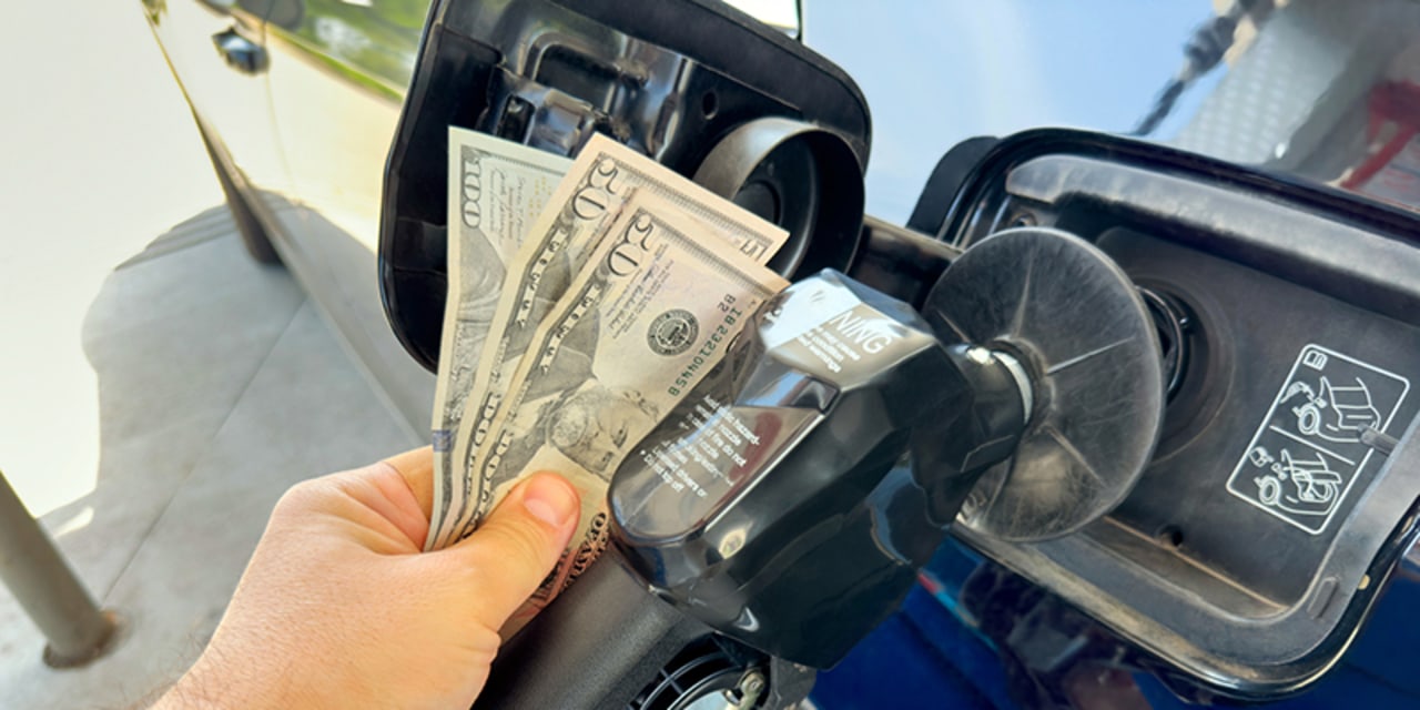 The Low Cost of High Gasoline Prices