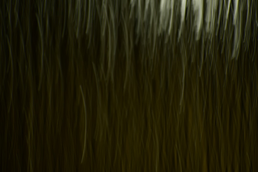 Dicas para cabelos: rotina e cuidados que fazem diferença