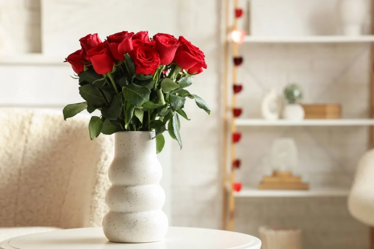 5 plantas para atrair mais amor para a sua vida