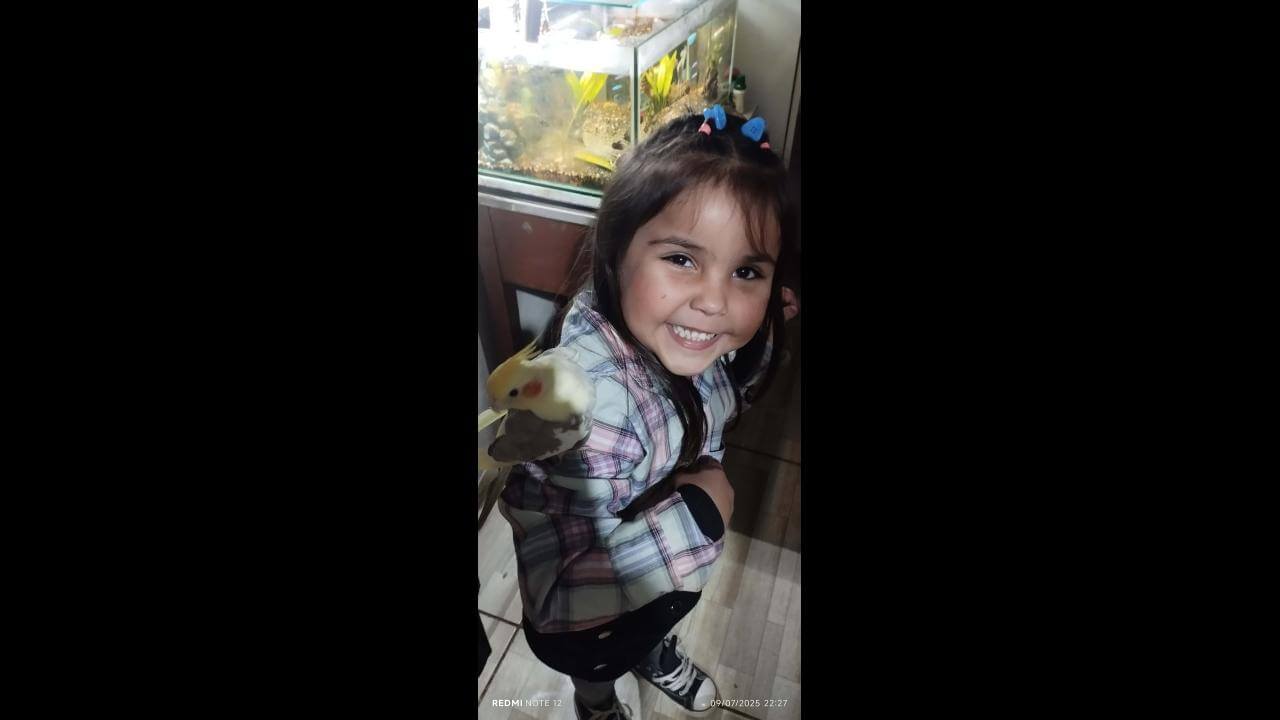 CALOPSITA PERDIDA – BAIRRO CATARATAS