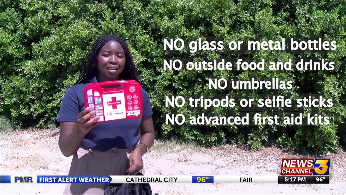 Coachella festival survival guide: everything you need to know