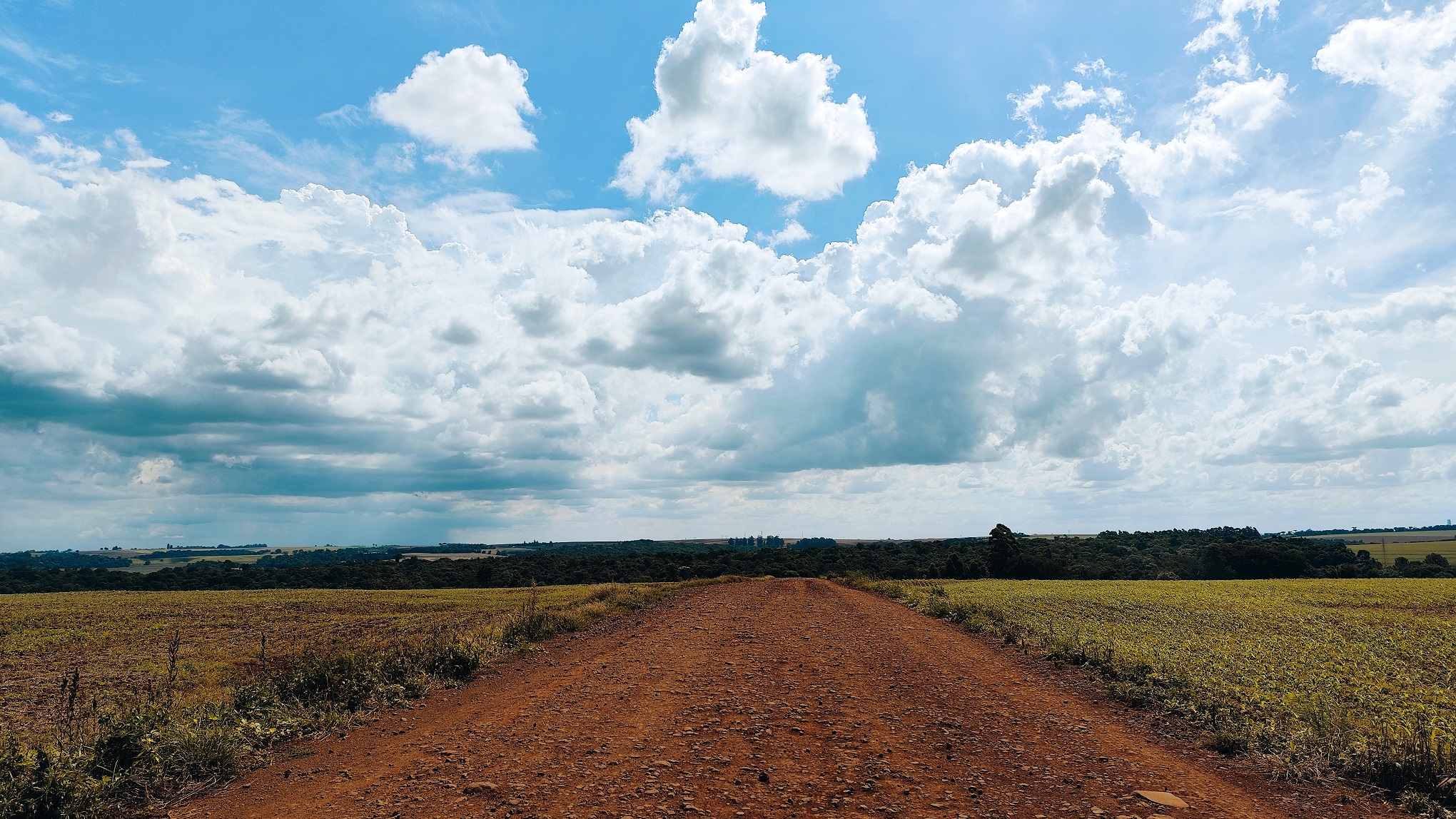 Domingo começa calmo, mas chuva promete mudar o tempo em Cascavel