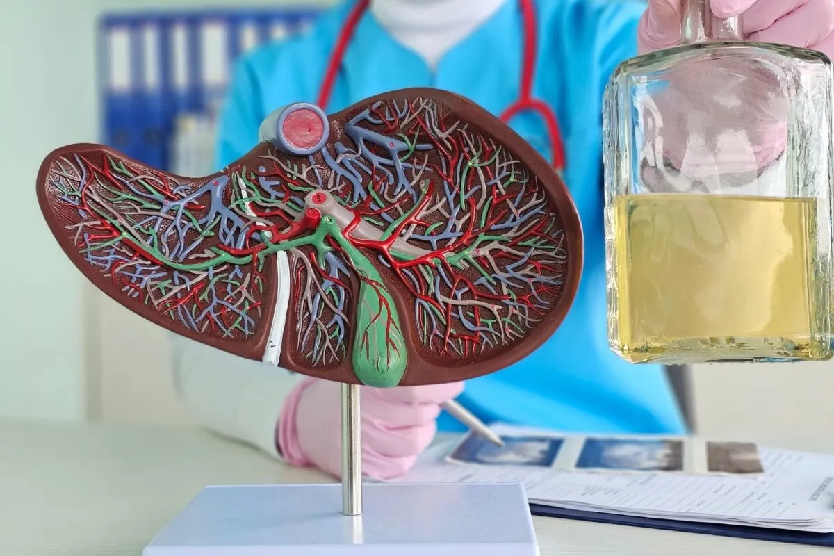 Entenda como o consumo excessivo e ocasional de álcool é um risco para o fígado