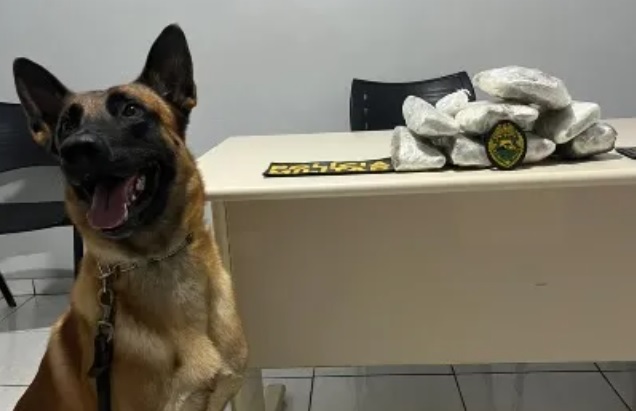 Equipe Rotam prende mulher de 19 anos com droga colada ao corpo