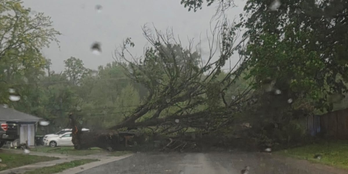 Hail, severe rainfall & flash flooding throughout the metro