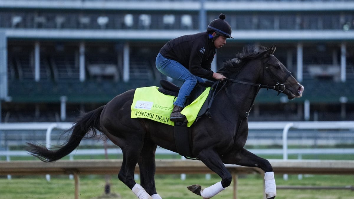 Kentucky Derby 2026 horses to root for in Churchill Downs race field