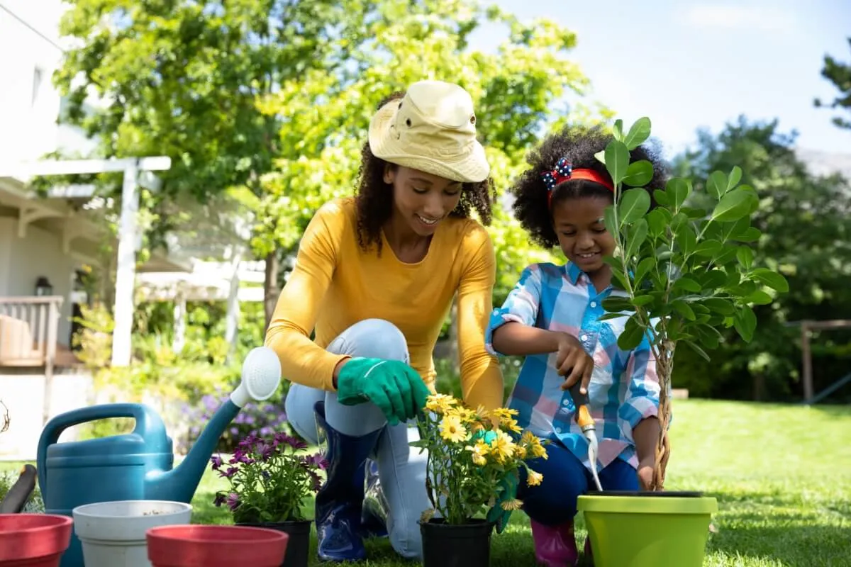 O que plantar em maio: hortaliças e flores ideais para cultivar no mês