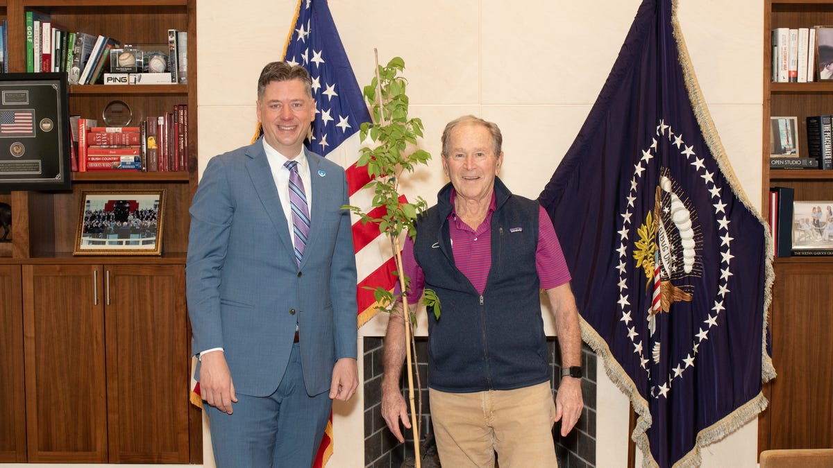 OKC Survivor Tree saplings shared nationwide. See 6 notable recipients