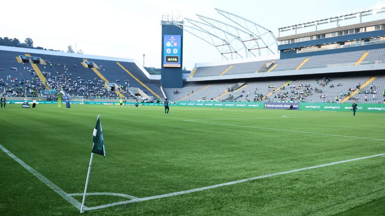 Palmeiras x Grêmio: onde assistir ao vivo e escalações do jogo do Brasileirão