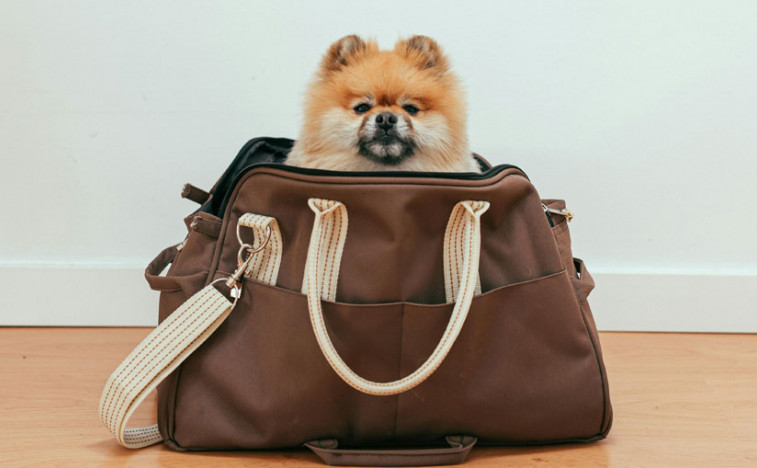 Srbija ispunila stroge uslove Evropske komisije