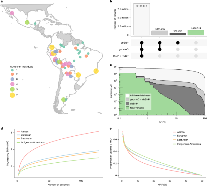 The evolutionary history and unique genetic diversity of Indigenous Americans