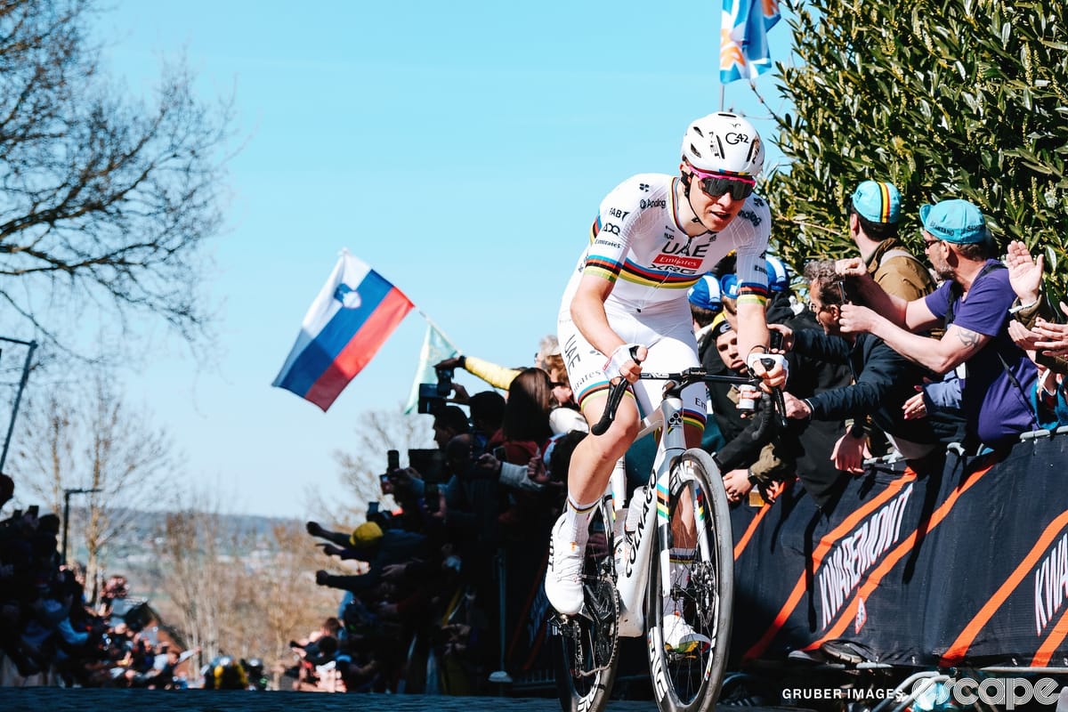 The stars are aligned for Flanders, but can any of them outshine Pogačar?