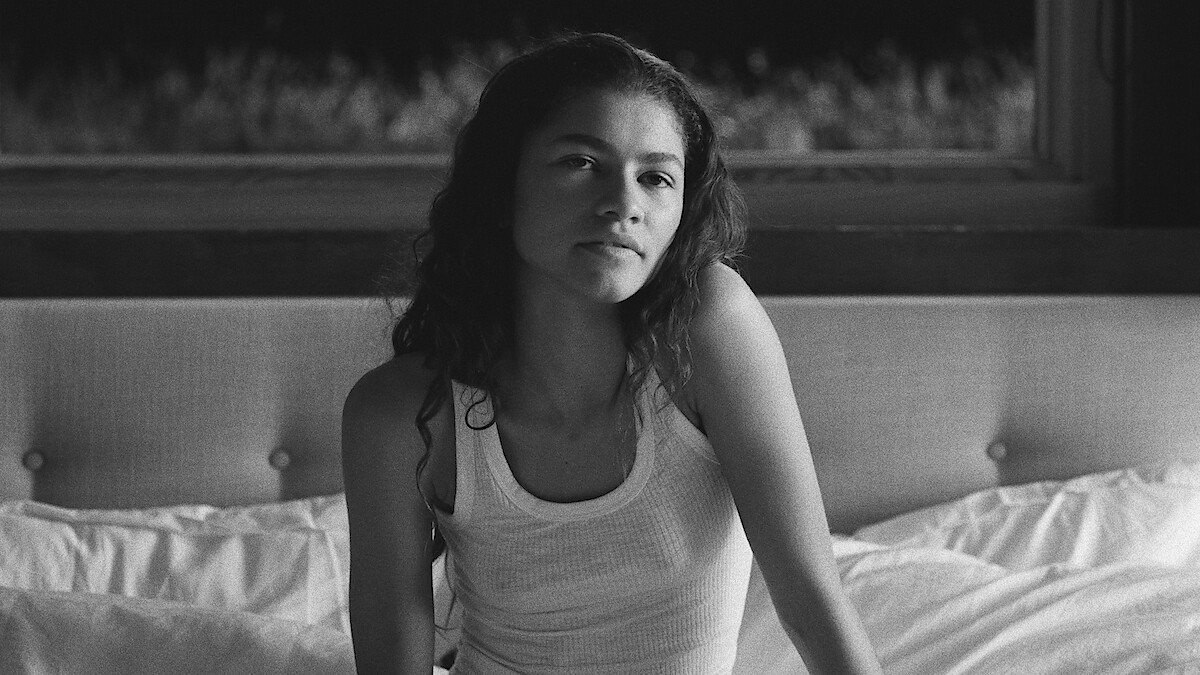 Watch the Euphoria Season 3 Cast in These 11 Series and Movies on Netflix