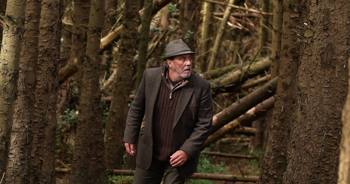 ‘Liam Neeson wanted a go at being a film star. I didn’t have that in my DNA’ – The Irish Times