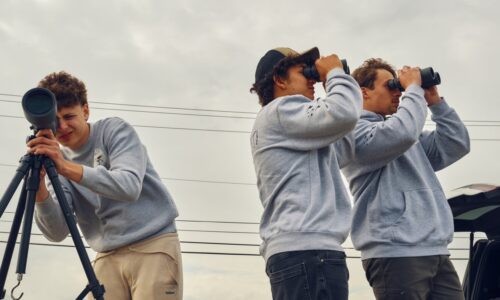 24 hours with 3 teen birders : NPR