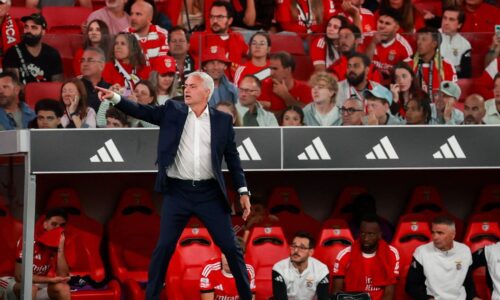 62.263: o Benfica precisa deste número