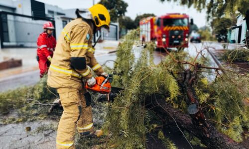 Árvore cai na Rua São Gabriel e Bombeiros são mobilizados
