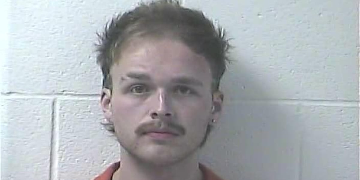 Bassist for BBQ and Barrels headliner arrested for child sex crimes