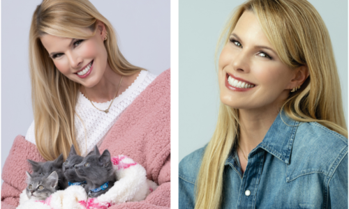 Beth Stern on Dove Soap, Gummy Bears and Her Foster Room Full of Kittens