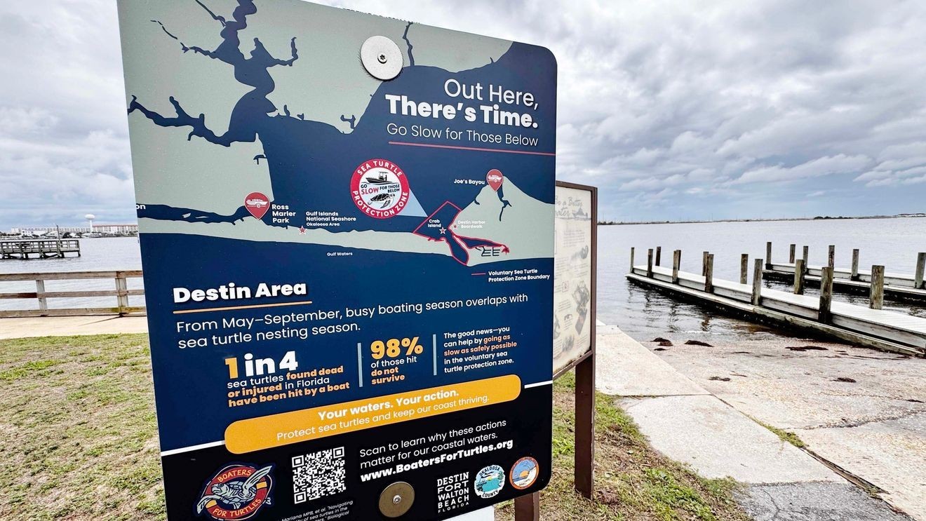 ‘Boaters for Turtles’ campaign launches in Destin-area waters to curb turtle strikes
