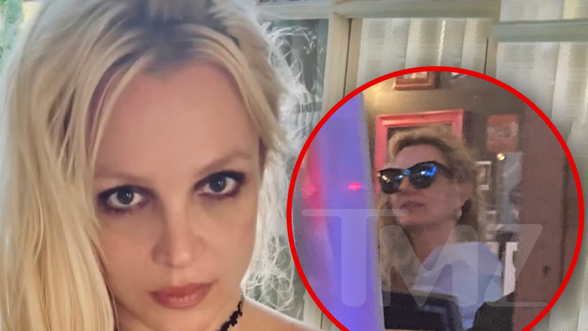 Britney Spears’ ‘Ruff’ Dinner Turns Heads at L.A. Restaurant