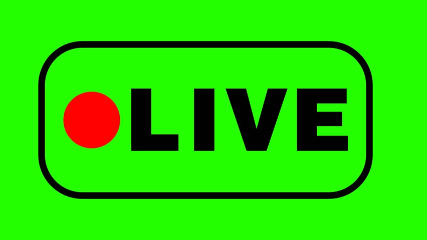 Chimaev vs. Strickland ＥＮ ＤＩＲＥＣＴＯ ＨＯＹ ＥＮ ＶＩＶＯ 9 de mayo de 2026
