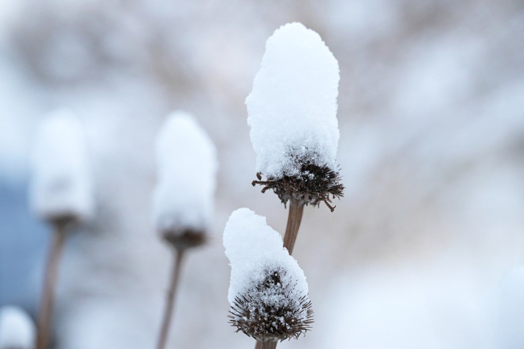 Colorado snow totals for May 18, 2026