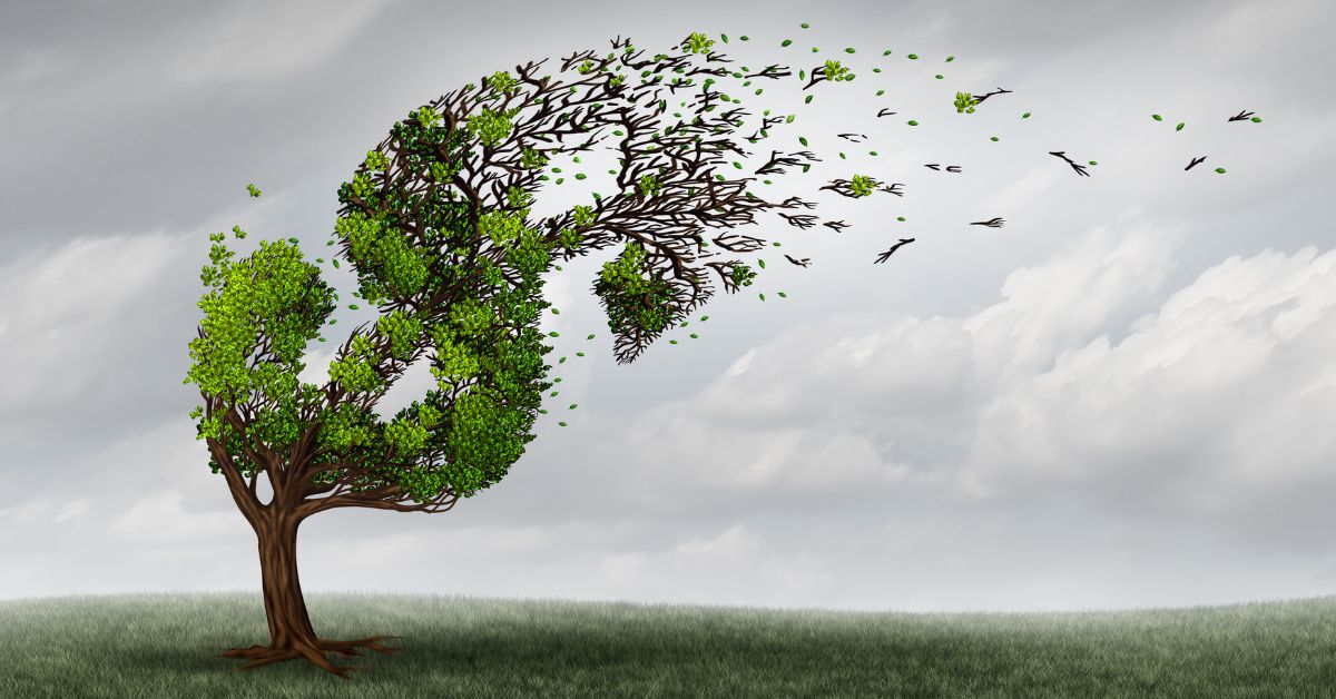 Concentration risk emerging among newer vintage loans, FHA borrowers