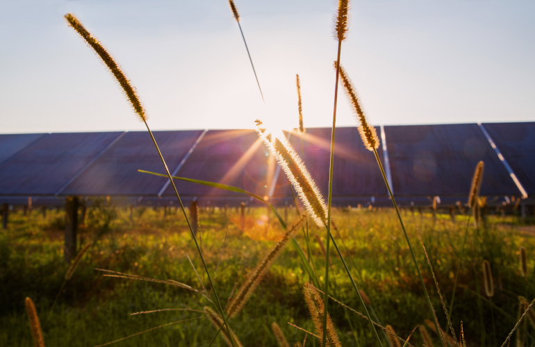 DTE Energy issues 1-GW RFP for solar, wind projects