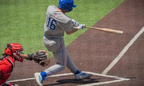 Diamond Dogs take weekend series at Liberty