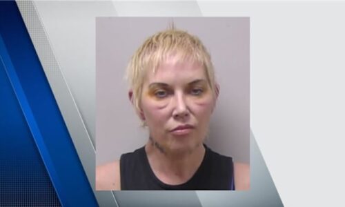 Ex-wife of rapper Eminem charged after alleged hit-and-run crash, pleads no contest