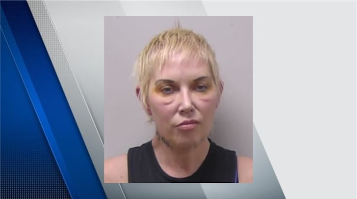 Ex-wife of rapper Eminem charged after alleged hit-and-run crash, pleads no contest