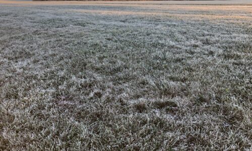 Frosty start to Sunday for Flying Pig Marathon