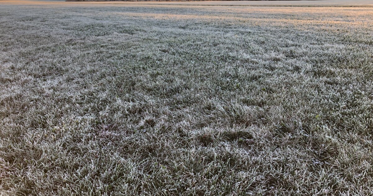 Frosty start to Sunday for Flying Pig Marathon