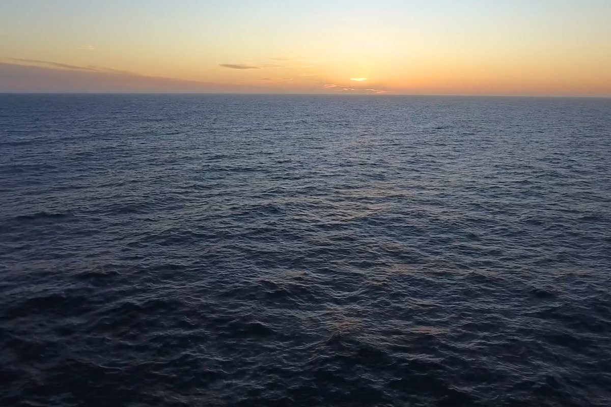 Giant squid detected in deep-sea canyon off coast of Australia