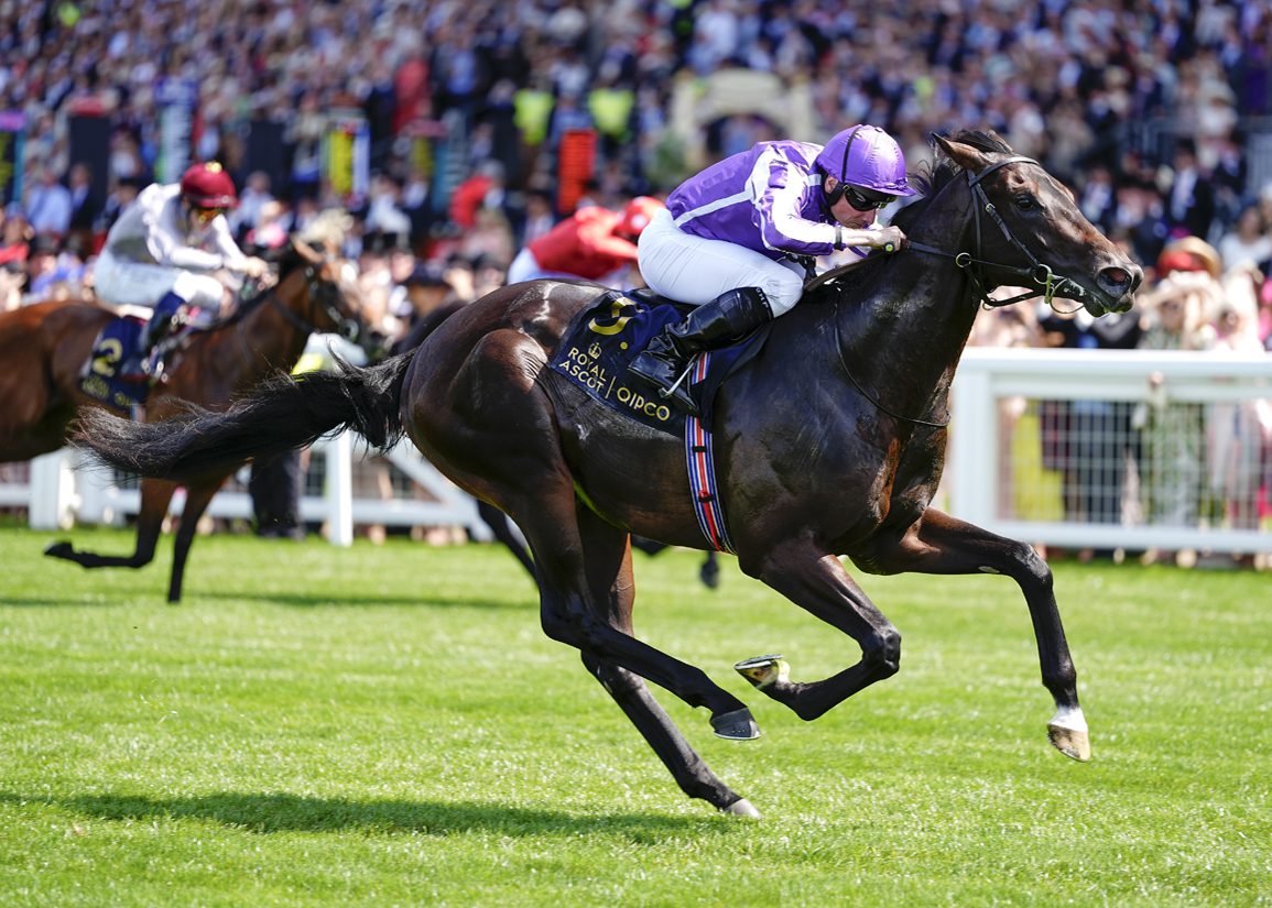 Gstaad Primed On Big Weekend for Ballydoyle
