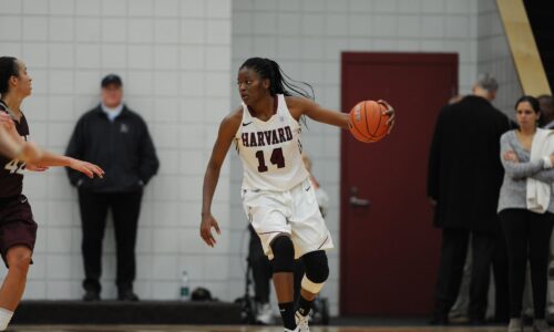 Harvard Alum Temi Fagbenle ’15 Embraces New Chapter with the WNBA’s Toronto Tempo | Sports