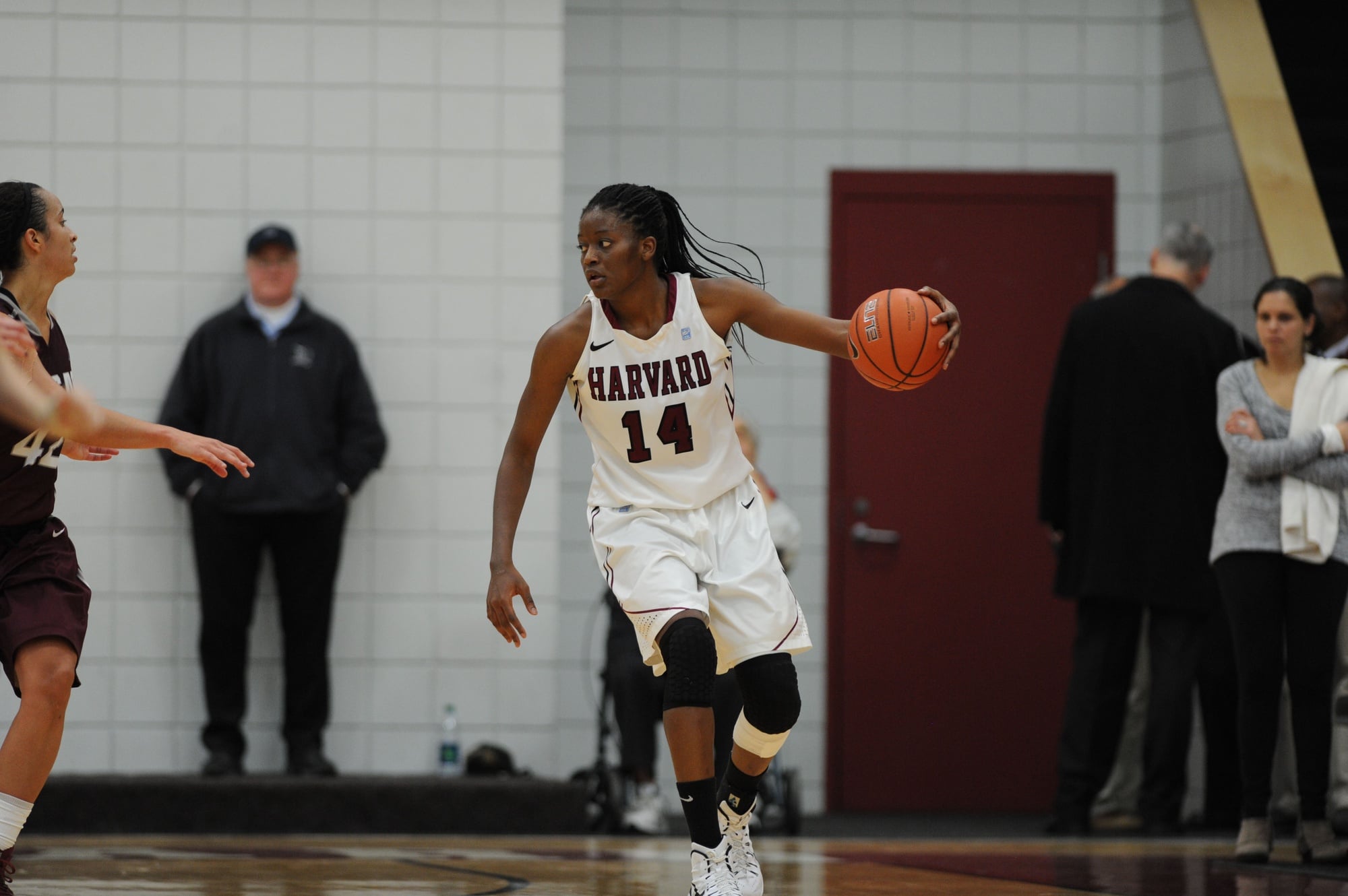 Harvard Alum Temi Fagbenle ’15 Embraces New Chapter with the WNBA’s Toronto Tempo | Sports