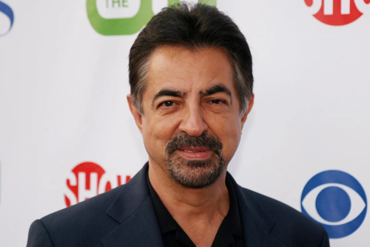 Joe Mantegna drops out of hosting National Memorial Day Concert