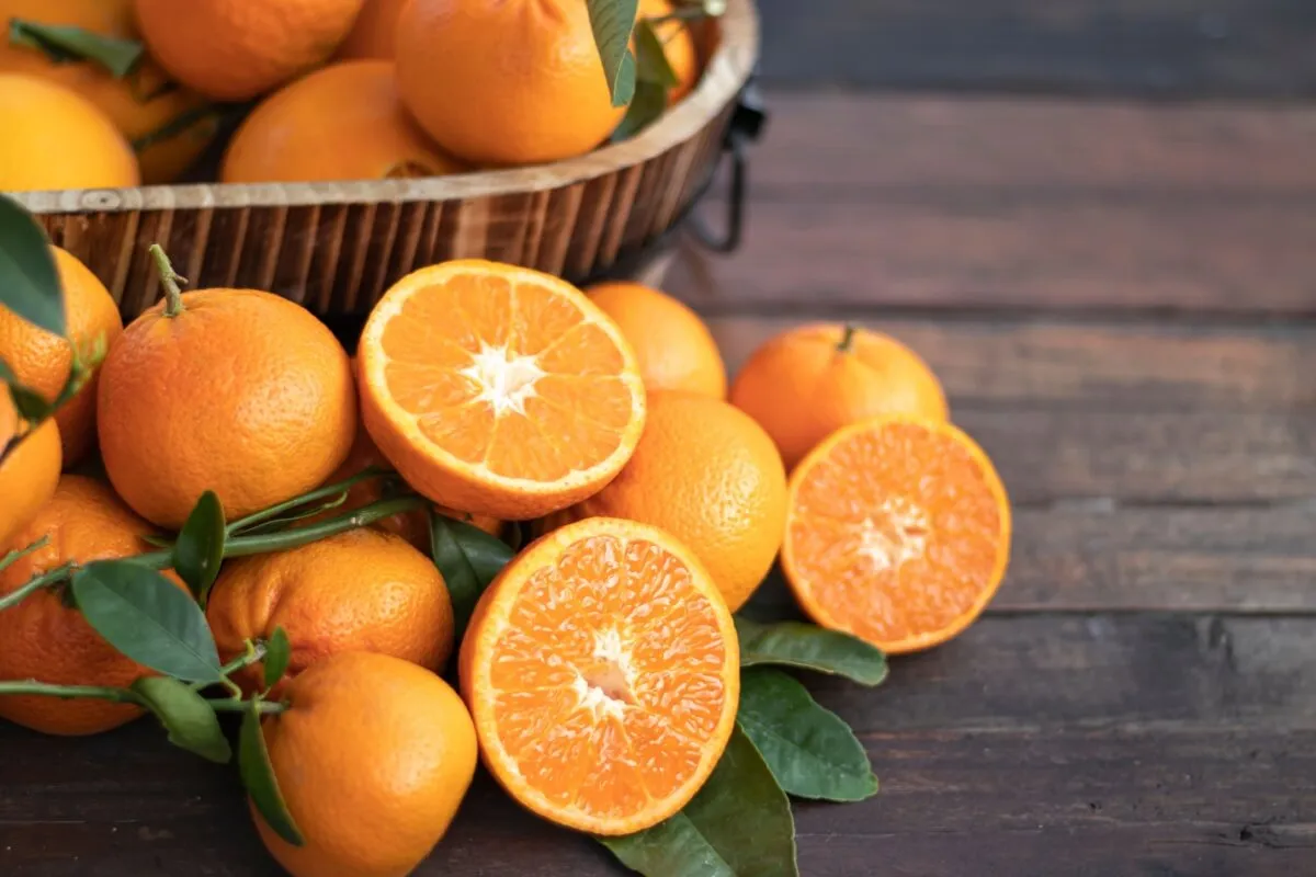Laranja: 8 benefícios da fruta para a saúde
